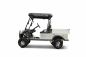 Preview: BT-Golfcars TM700